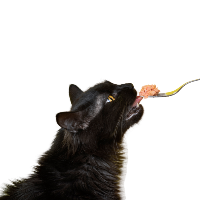 Nutritional Counseling