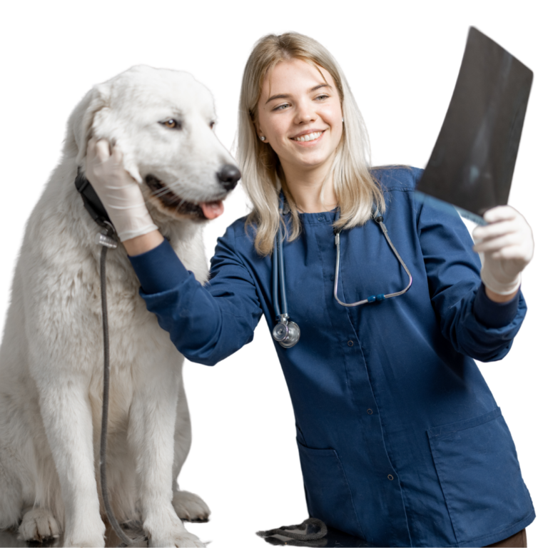 In-House Diagnostics